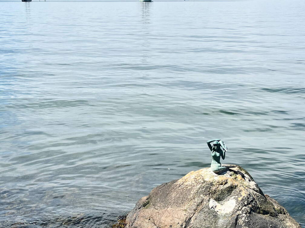 24-06-20 12-29-35 9702